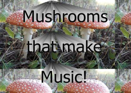 Musical MushrooM (fixed sound)