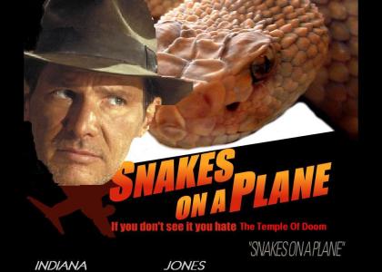 Snakes On A Plane 2.0 : Indy