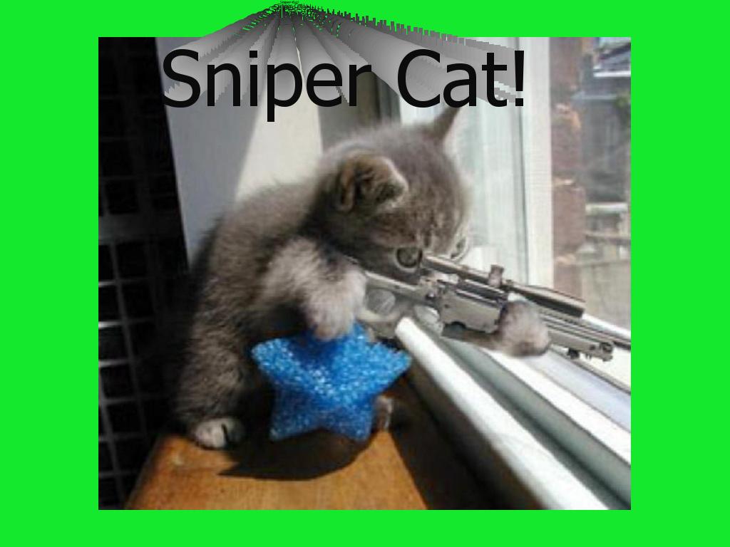 snipercat2007