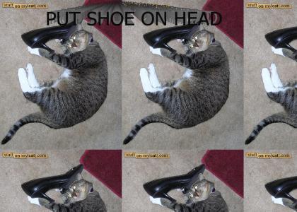 Cat's Got Your Shoe