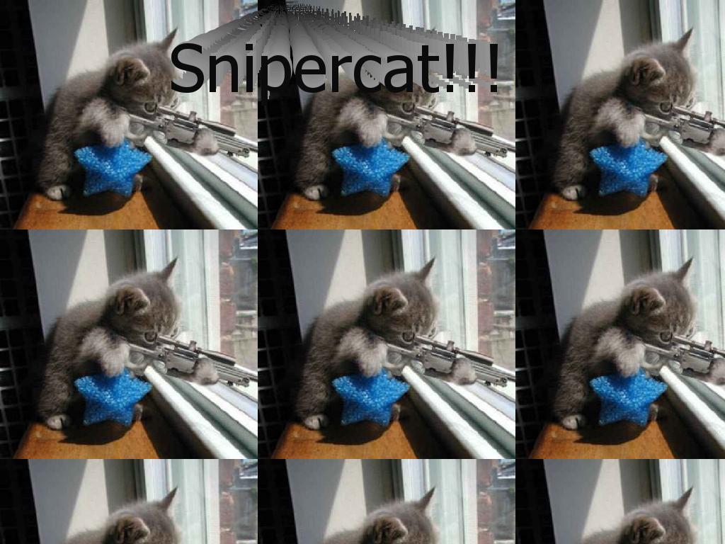 snipercat