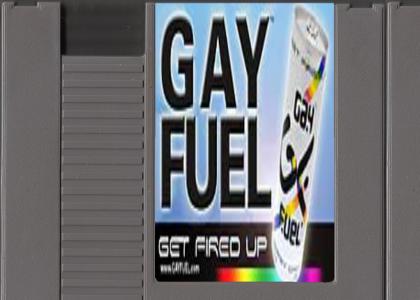 Gaytendo Fuel System