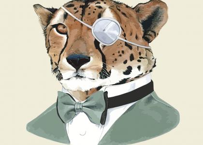 Gangstanimal: Cheetah's got a need..