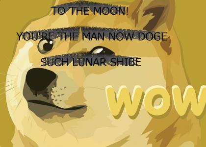 You're The Man Now Doge