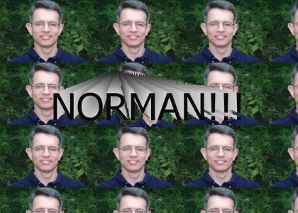 NORMAN!!!
