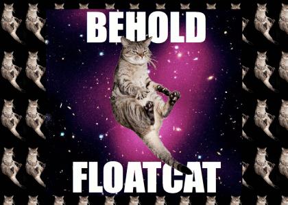 Floatcat