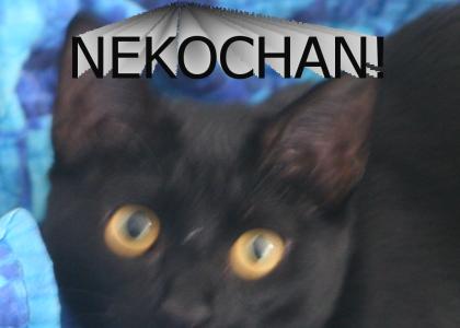 Nekomimimode