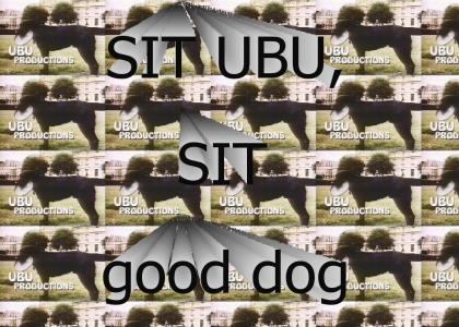 Ubu the dog needs to sit