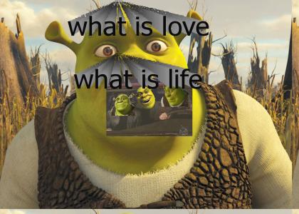 What is Shrek?