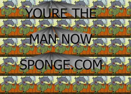 You're the man now sponge!