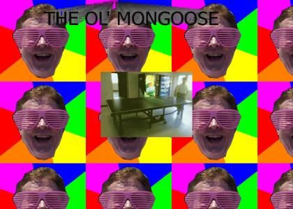 The Ol' Mongoose