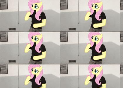 Fluttermoves