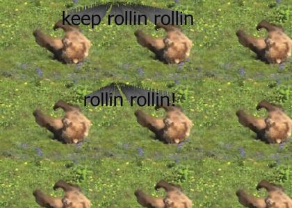 keep rollin rollin rollin