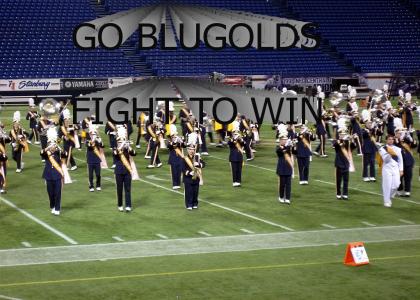 GO BLUGOLDS FIGHT TO WIN