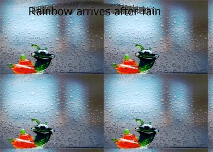 Rainbow arrives after rain