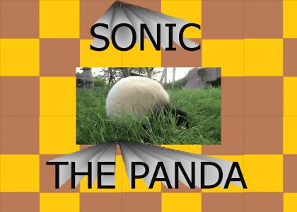 SONIC THE PANDA
