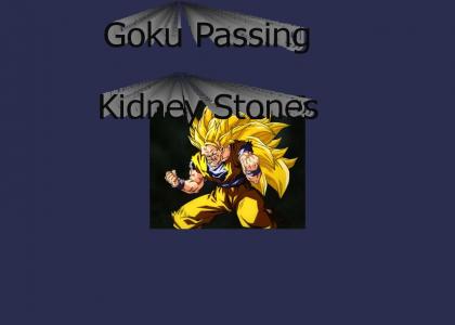 Goku Passing A Kidney Stone