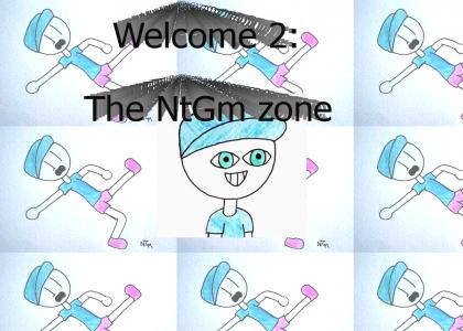 ntgms-enty-zone