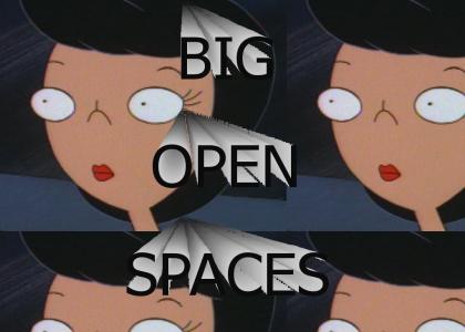 BIG, OPEN, SPACES!