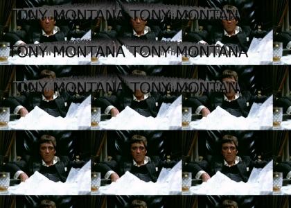 TONY MONTANA TONY MONTANA TONY MONTANA TONY MONTANA TONY MONTANA