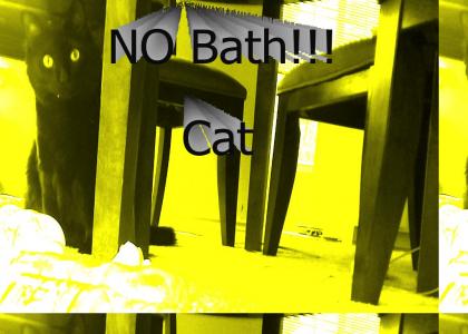 NO BATH Cat