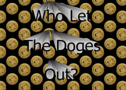 Who Let the Doges Out?