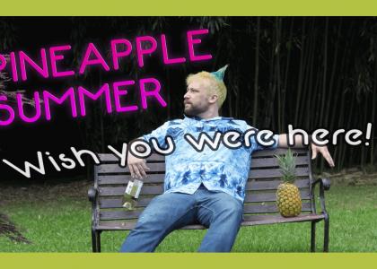 Pineapple Summer - Wish You Were Here