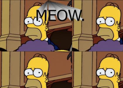 Homer - Fade To Meow