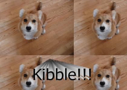 Bring Me Kibble!