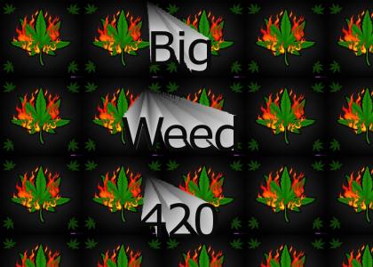 BIG WEED