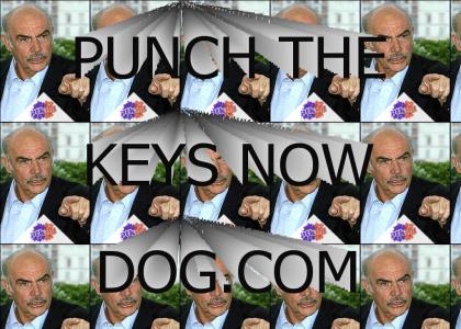 Punch the keys now dog!