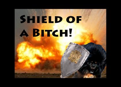 Shield of a Bitch!