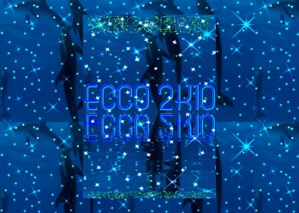 ECCO 2K10