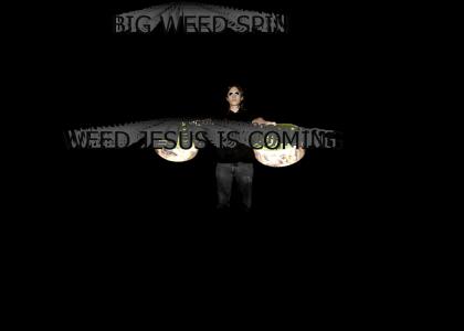 WEED SPIN WEED SPIN