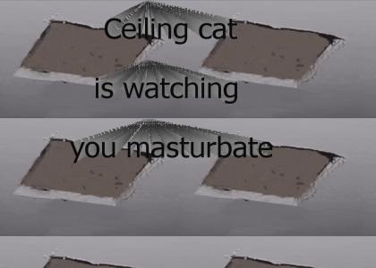 Ceiling Cat is watching you masturbate