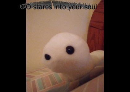 O-O stares into your soul