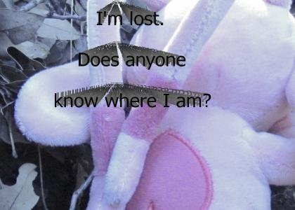 imlostdoesanyoneknowwhereiam