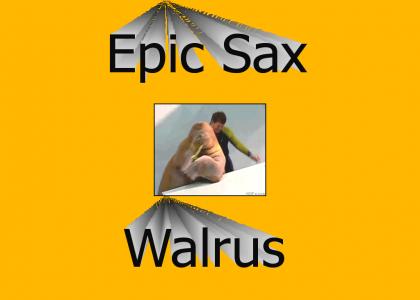Epic Sax Walrus