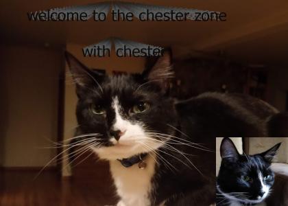 chesternest