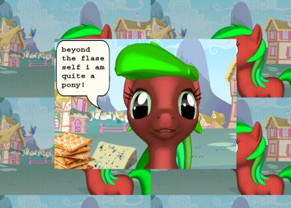strawberry pony wanders ytmnd strawberry pony wanders ytmnd