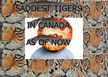 sad tigers 2020 canada