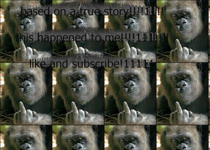 based on a true story based on a true story