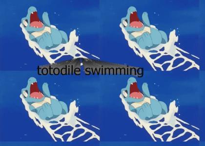 totodile swimming