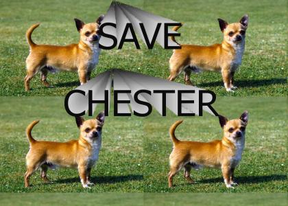 Save Chester