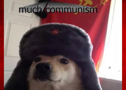commie doge