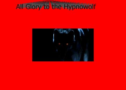 All Glory to the Hypnowolf