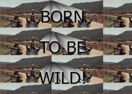 BORN TO BE WILD BORN TO BE WILD