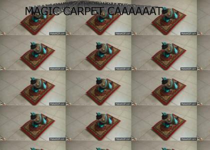 MAGIC CARPET CAT