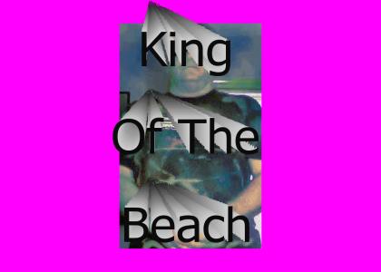 King of the Beach