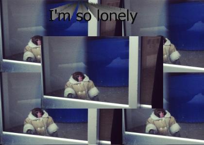 Ikea Monkey is so lonely